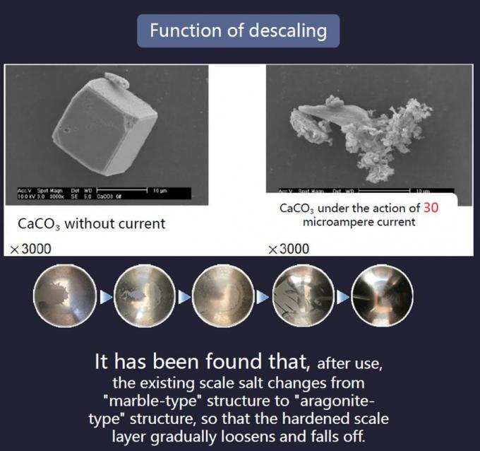 ç½ç«, æ¥ç¨&egrav<!--[endif]--></span></p>
<p class=