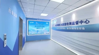 Centro Ricerca e Controllo e Supervisione della Qualità-BriskSpring