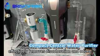 Il purificatore d'acqua centrale compatto rimuove efficacemente scolorimento e odori.