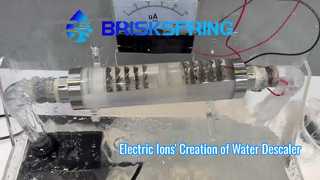 Osservando la creazione del decalcificante per l'acqua BriskSpring da parte degli ioni elettrici