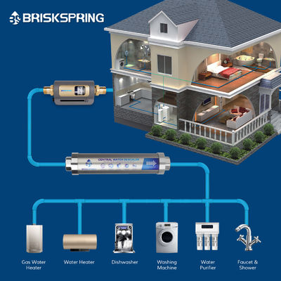 Prefiltro a doppio disco ad alta efficienza per la soluzione di filtrazione dell'acqua per l'intera casa