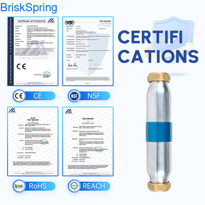 Descaler ad alta efficienza SAAS Turbo Chip con portata di 5 T/H e certificazione NSF per sistemi idrici per tutta la casa