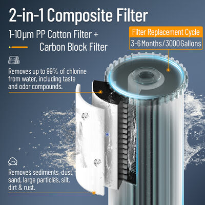 BriskSpring N1-2C-BS Purificatore d'acqua centrale compatto con portata di 3 T/h e cartuccia a rilascio rapido per 50.000 litri