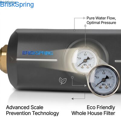 Eco-Friendly Non Toxic ABS Corpo Anti Scaling Filter Descaler Acqua Intera Casa