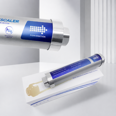 J-600-BS Descaler d'acqua per tutto l'abitazione con polarizzazione ionica fisica pura senza magnetismo o elettricità e capacità di flusso di 4 T/H